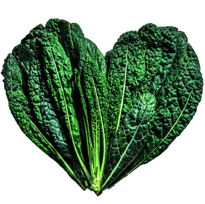 Die 4 Vorteile eines energieeffizienten Gastro Kühlschrankes