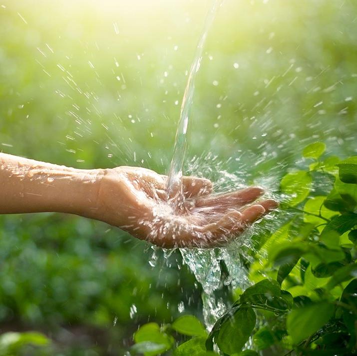 Five ways your business can reduce water consumption this World Water Day