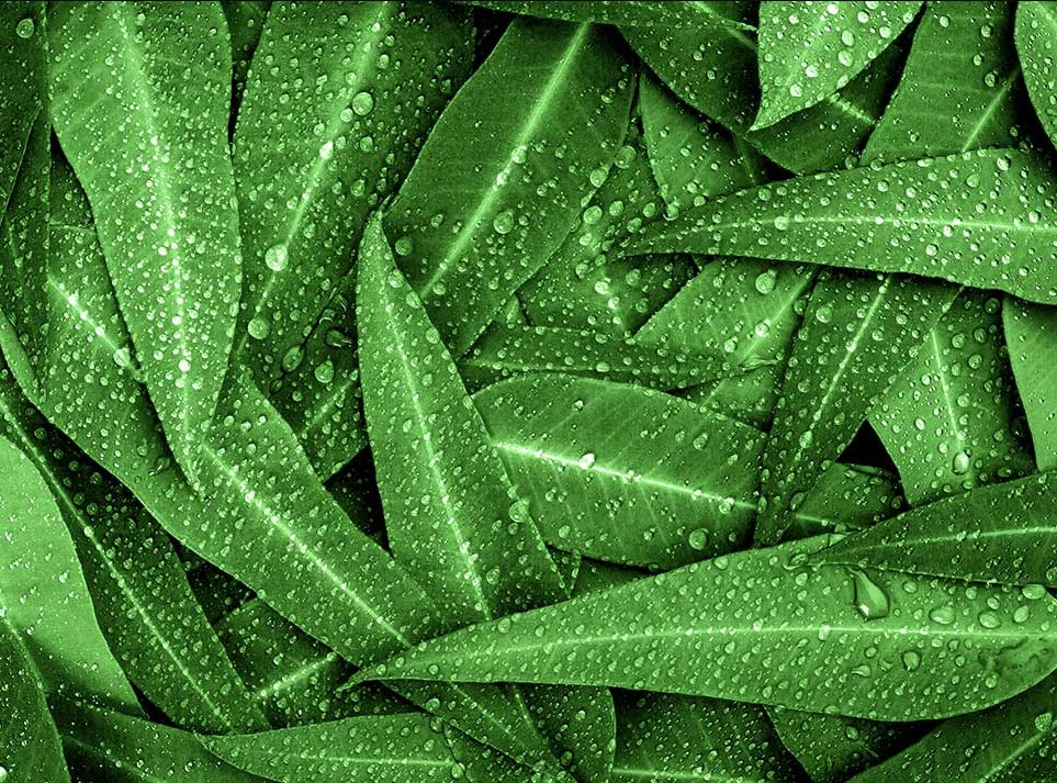 How you can add sustainability to each step of the professional laundry process
