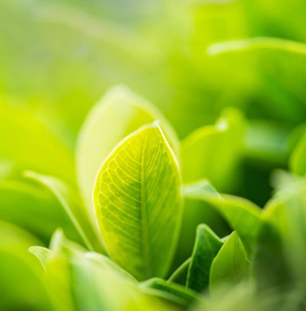 Neue umweltfreundliche Kältemittel: Drei Wege wie Sie damit die Umwelt schützen und Ihr Unternehmen profitabler und sicher machen.