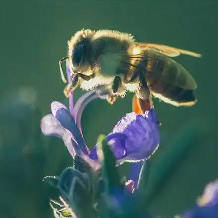 The Hive, a month of sustainable excellence and innovation
