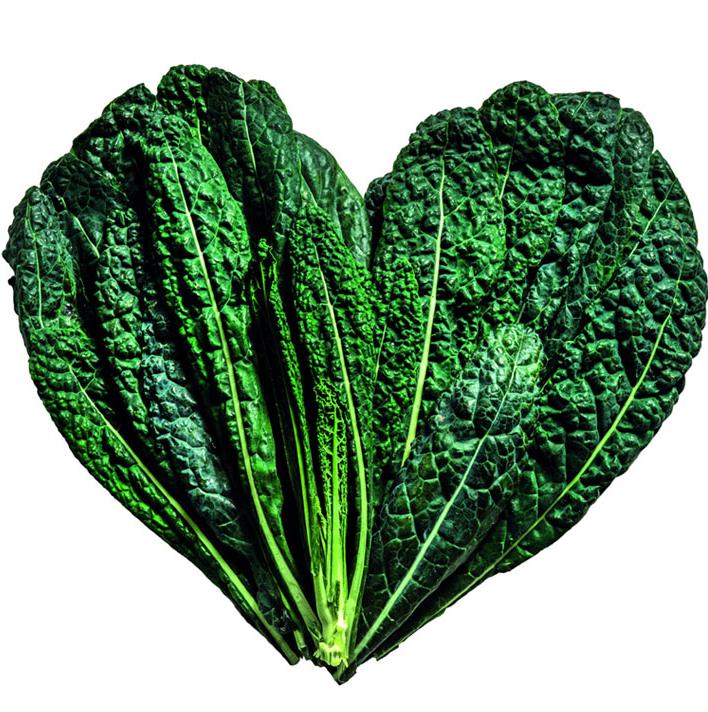 4 benefits of energy-efficient refrigeration in professional appliances