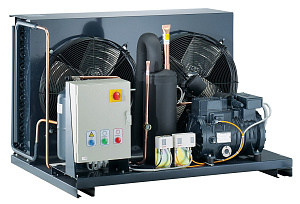 Electrolux Professional RU37 LUFTGEKÜH. KÄLTEANL BC+BCF180KG 2X20 1/1 (Code 881015)