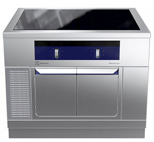 Electrolux Professional MCJDFCJ9AO GF-INDUK.SCHRK.H2,4Z.2S.1000X900X800 (Code 589371)