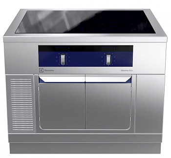 Electrolux Professional MCJDFCJ9AO GF-INDUK.SCHRK.H2,4Z.2S.1000X900X800 (Code 589371)