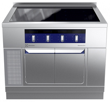 Electrolux Professional MCJDFBJ9AO GF-INDUK.SCHR.H2,4Z.1S.AFK.1000X900X800 (Code 589368)